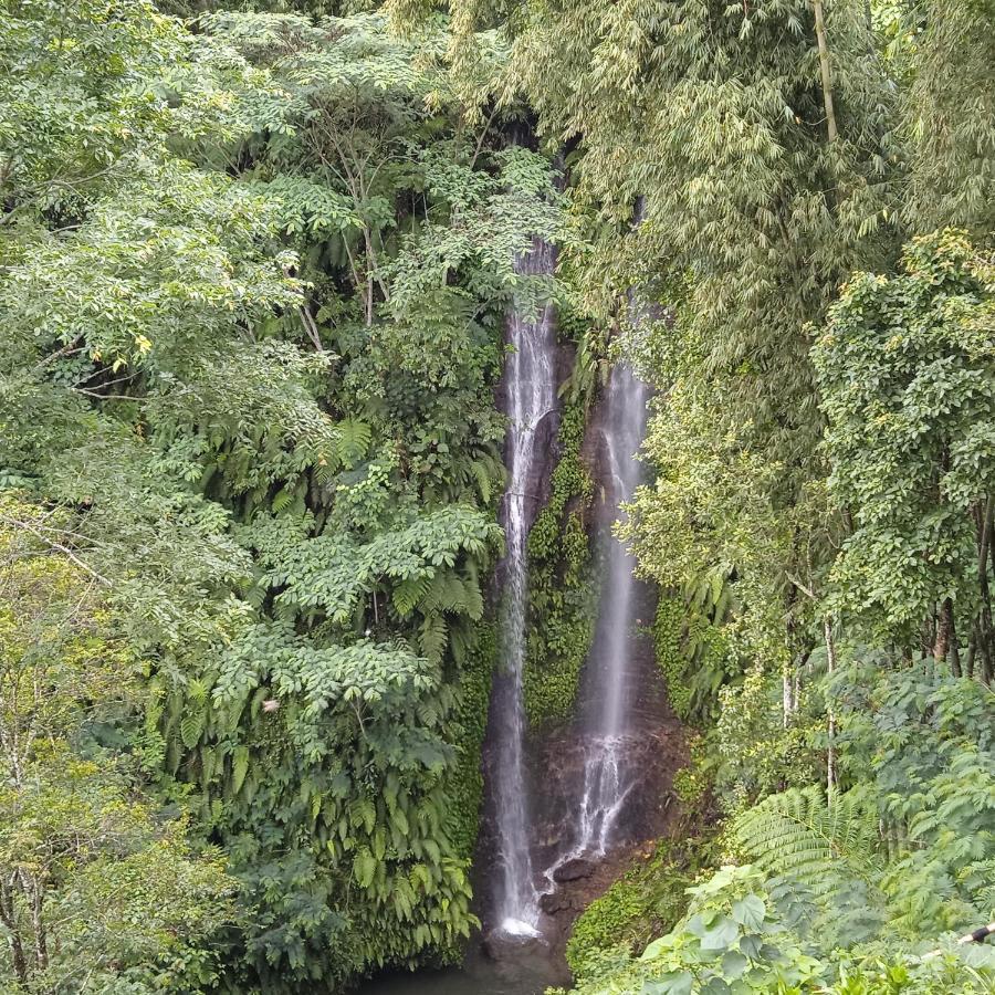 Munduk Tutub Waterfall View Exteriör bild