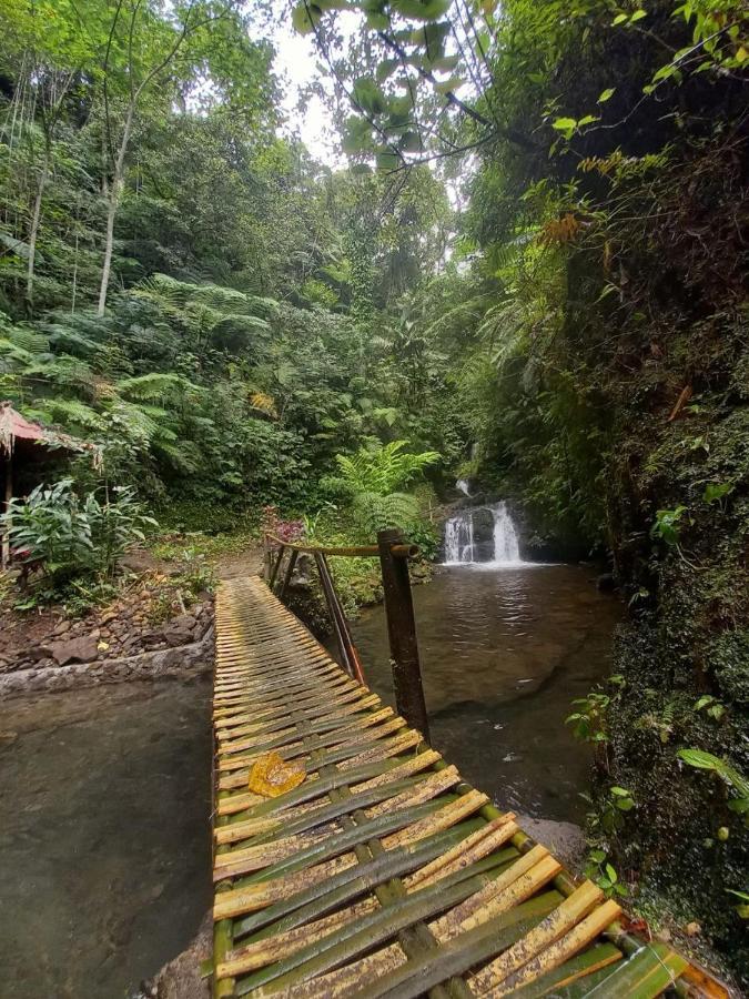 Munduk Tutub Waterfall View Exteriör bild