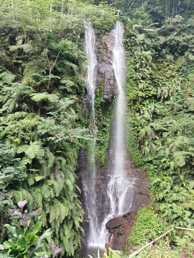 Munduk Tutub Waterfall View Exteriör bild