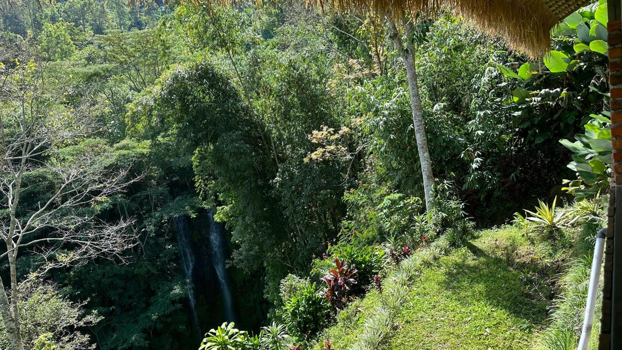 Munduk Tutub Waterfall View Exteriör bild